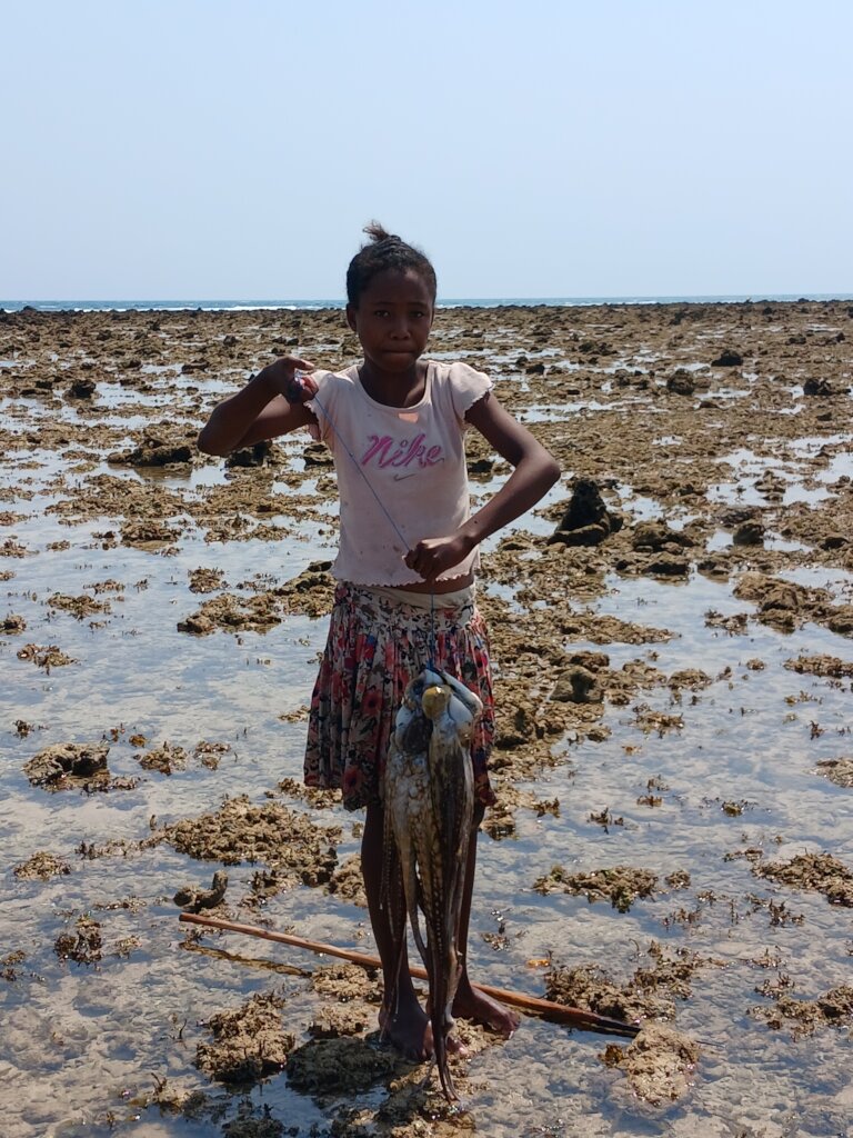 Young Gleaner 3