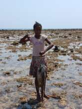 Young Gleaner 3