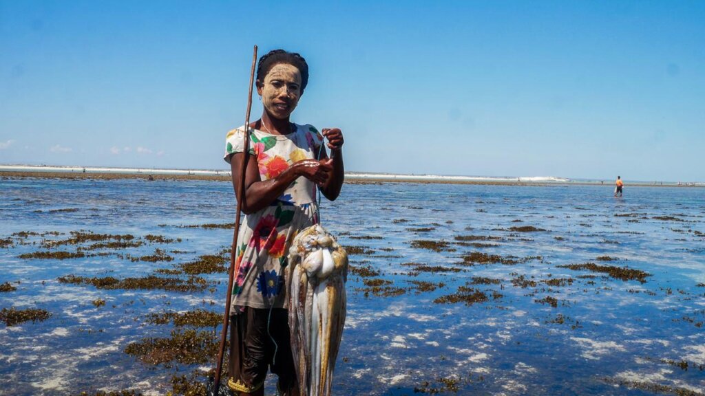 Management of octopus fishiries led by Gleaners
