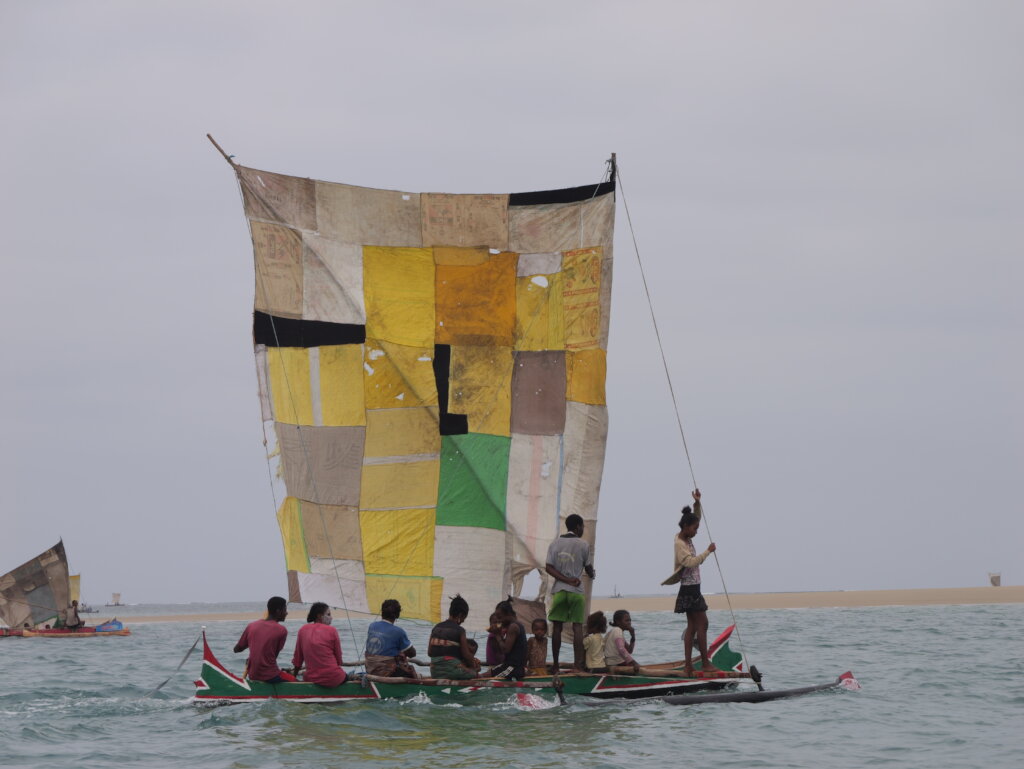 Management of octopus fishiries led by Gleaners