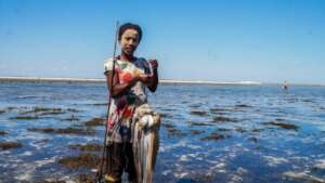 Octopus reserve Opening
