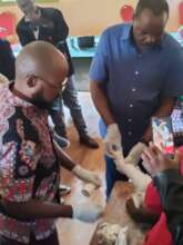 Applying the Ponseti method