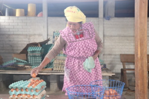 Getting the Eggs Ready to Sell