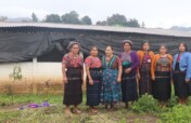 Help Maya Women Earn an Income to Avoid Migration