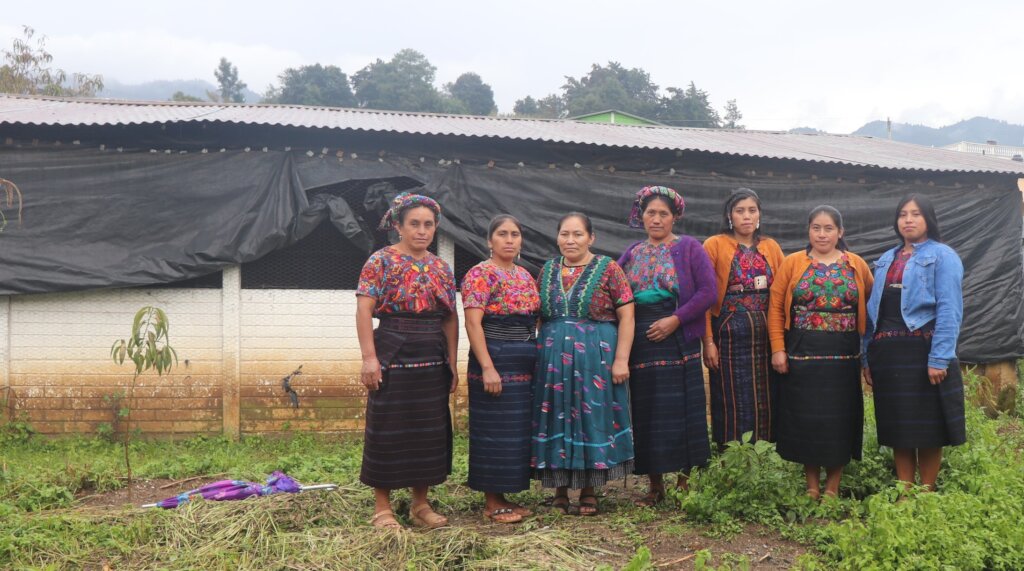 Help Maya Women Earn an Income to Avoid Migration