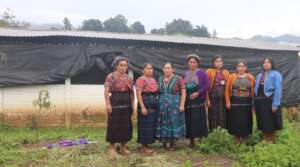 Help Maya Women Earn an Income to Avoid Migration