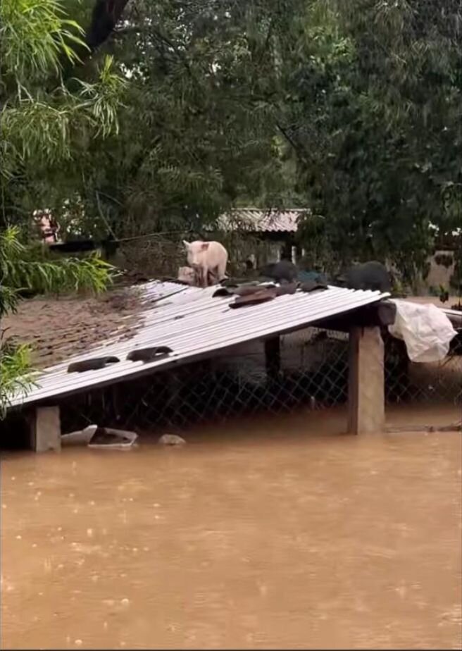 Emergency Action for Hurricane John