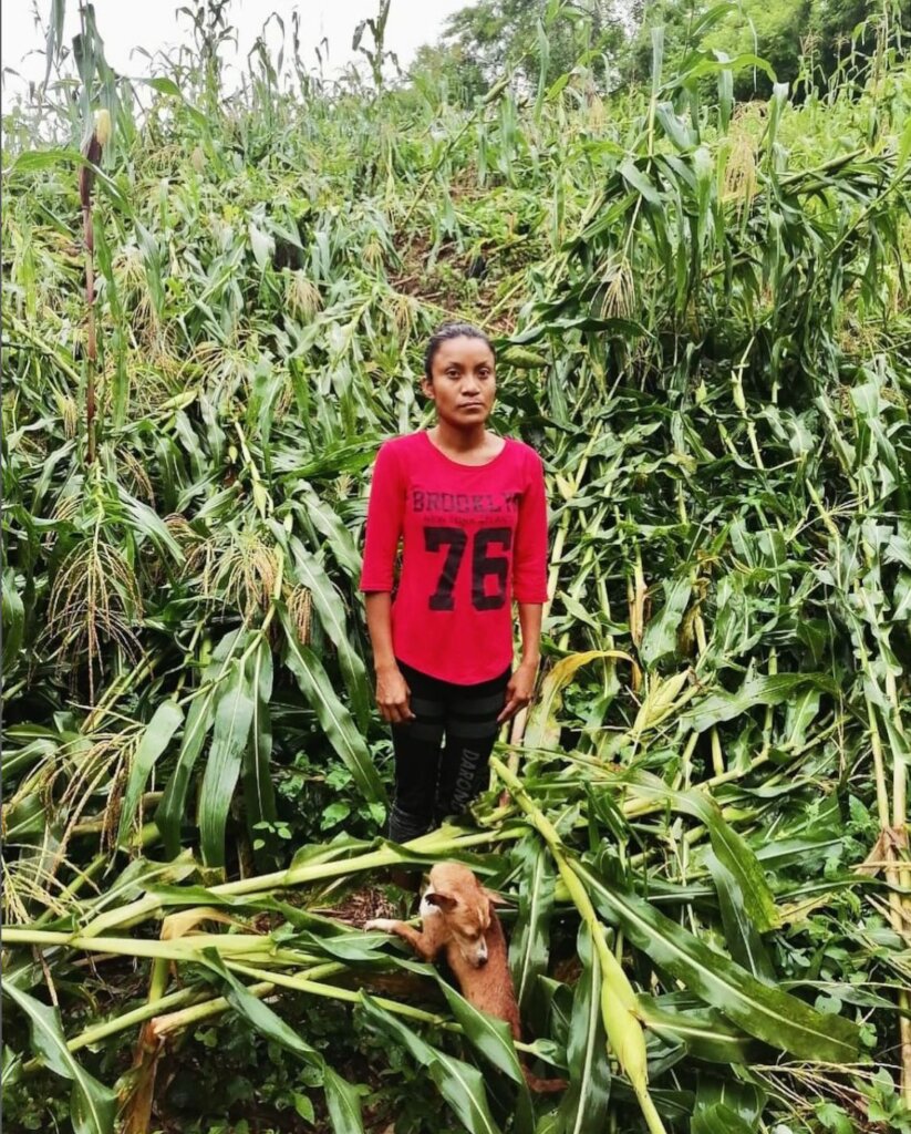 Emergency Action for Hurricane John