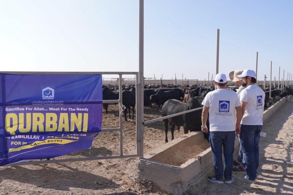 Donate 100 Cows for Qurbani in Pakistan