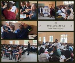 Tholulwazi Term 3 Workshop