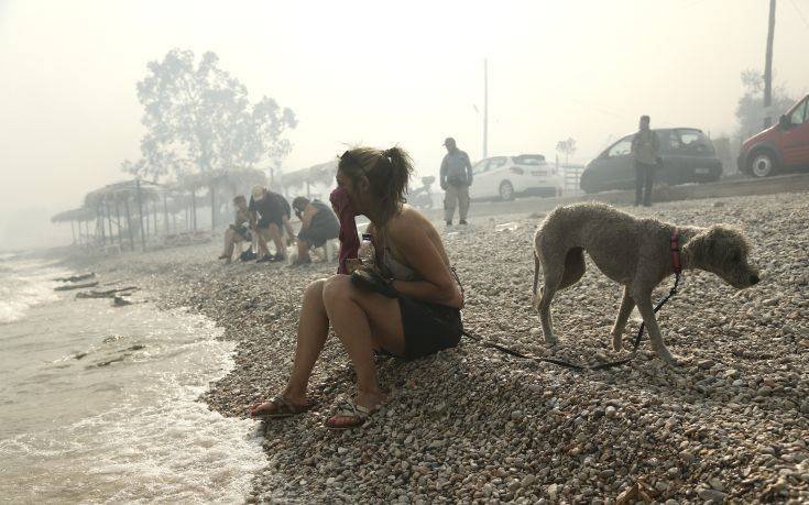 EMERGENCY HELP TO FIRE VICTIMS IN GREECE