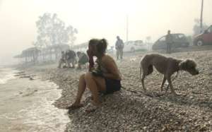 HOPELESS AND SCARED KIDS AND PETS TRY TO BREATH