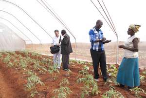 A Global Roots oversight inspection crew