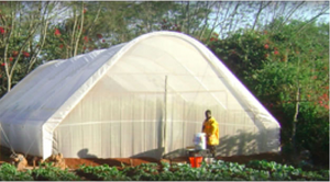 Greenhouses will provide nutrition and education.