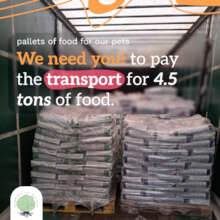 Pay for transport for 4500 KG of food