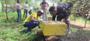Beekeeping training