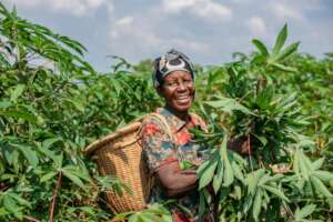 Green empowerment for 150 vulnerable returnees