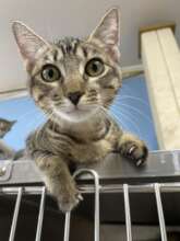 One of our newest arrivals at the shelter