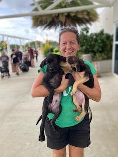 Spay/Neuter to prevent animal suffering in Cayman