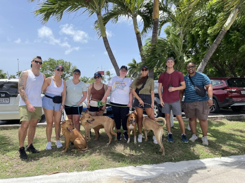 Spay/Neuter to prevent animal suffering in Cayman