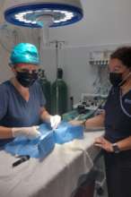 Spay and neuter clinic