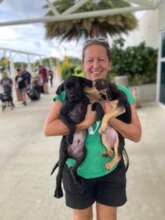 Volunteer with puppies