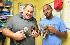 Puppies rescued from trash bin