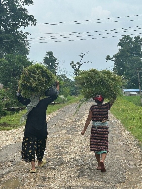 Help Girls Get Climate Education in Nepal