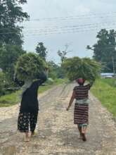 Rural Women Traveling Miles to Collect Fodder