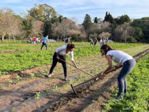 Biodynamic Vegetable Garden