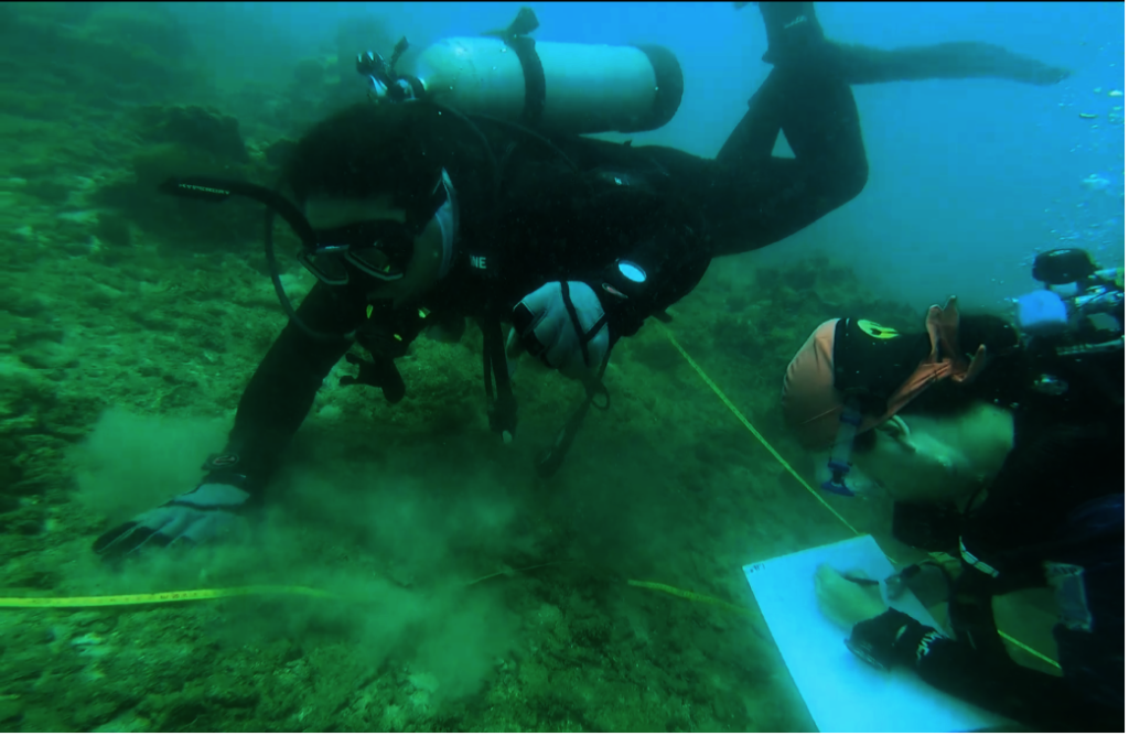 Site selection dive at Varadero Reef
