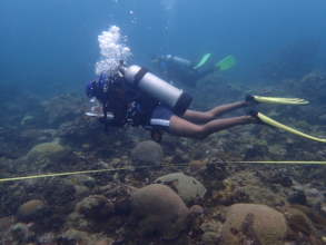 Reef Check Protocol