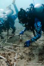 Corales de Paz staff installing Reef Stars
