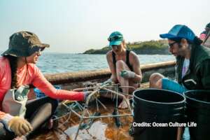 Volunteers attaching corals to Reef Stars