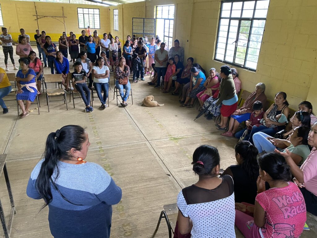 Seed Women: Empowering Indigenous Women in Mexico