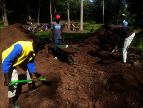 Soil Preparation for seedlings growing