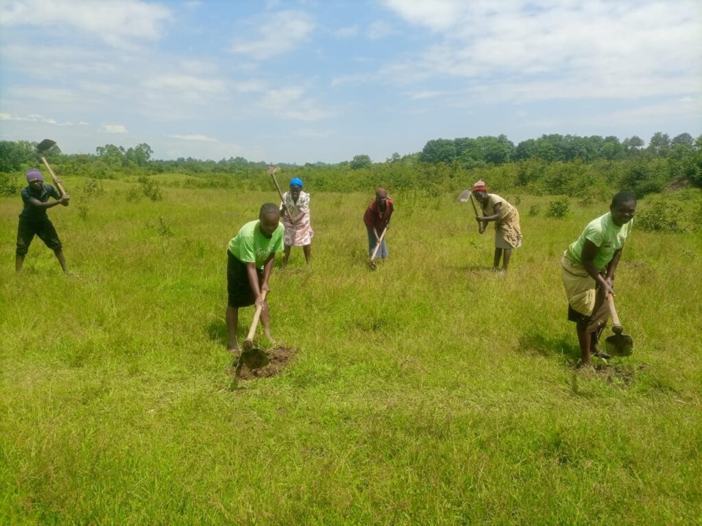 RESTORE AND CONSERVE BUNYALA FOREST IN  KENYA