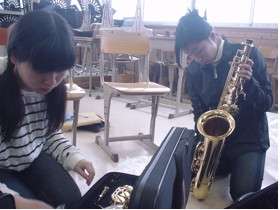 Swing Dolphins New Instruments