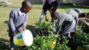 Farming in Koinonia