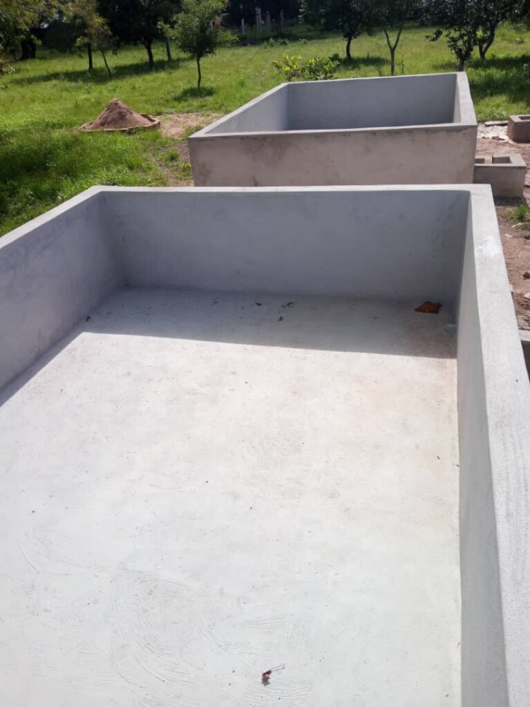 Fish farming activity to pay for school fees