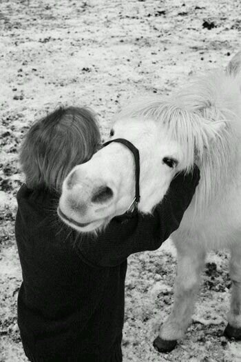 Pony with child
