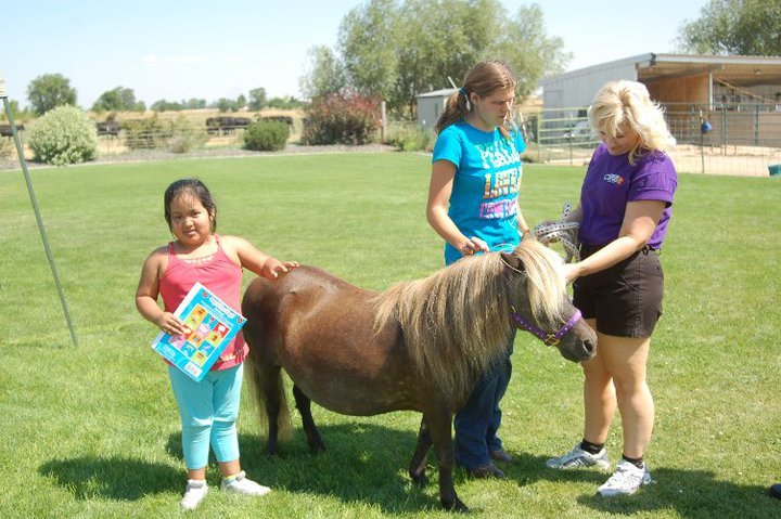 Reading with the Ponies