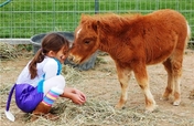Provide Care for a Differently Able Child's Pony