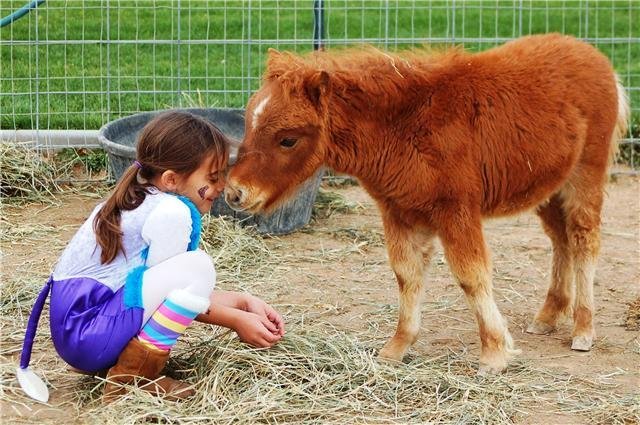 Provide Care for a Differently Able Child's Pony