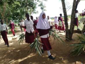 Trees Planting