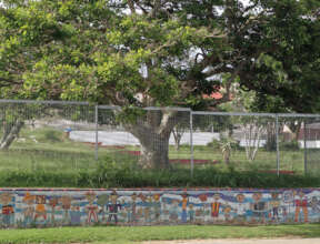 Creative project in Riebeek East.