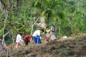 Using human waste
