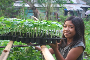 Vegetable seedlings for Sendong survivors