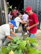 Enviromental Project Creating Green areas