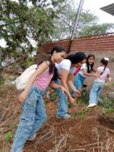 Enviromental Project Creating Green areas